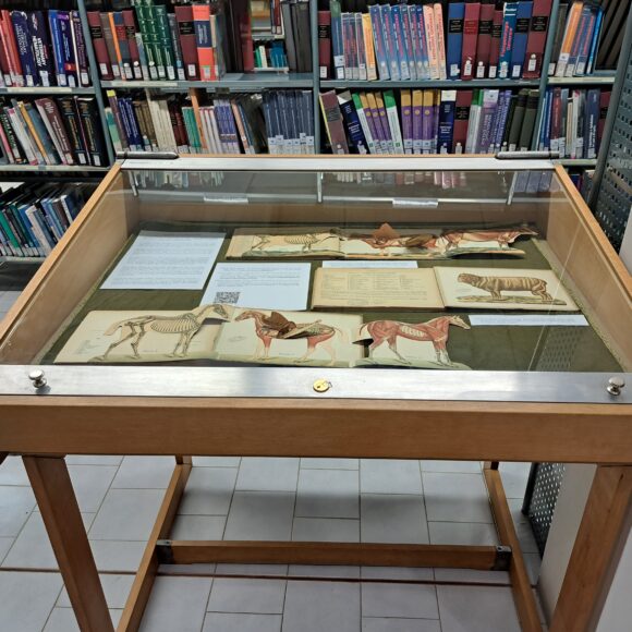 Esposizione volumi del Fondo Antico della Biblioteca Veterinaria Ercolani di Bologna