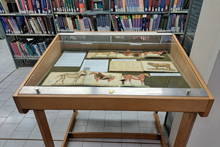 Esposizione volumi del Fondo Antico della Biblioteca Veterinaria Ercolani di Bologna